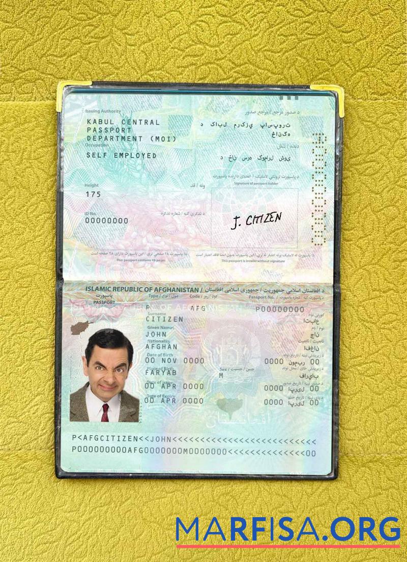 Realistic Afghanistan passport photo look download for verification